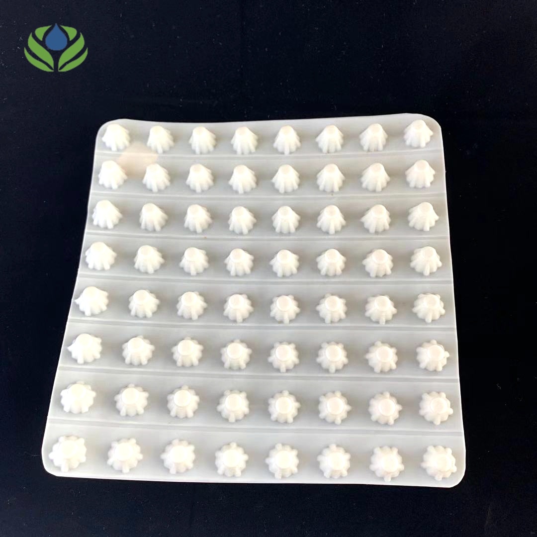 Modern Engineering Construction Waterproofing Water Storage Drainage Board for Roof Garden
