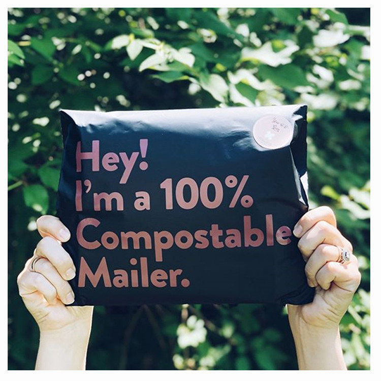 PLA Polylactide & PBAT Biodegradable Polymer, 100% Plant-Based, Compostable, Thank You Mailer Packaging Bag
