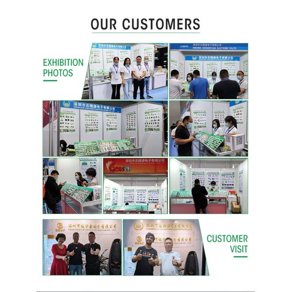 Custom 50W-100W Toroidal Audio Transformer 110V-230V to 11V-36V