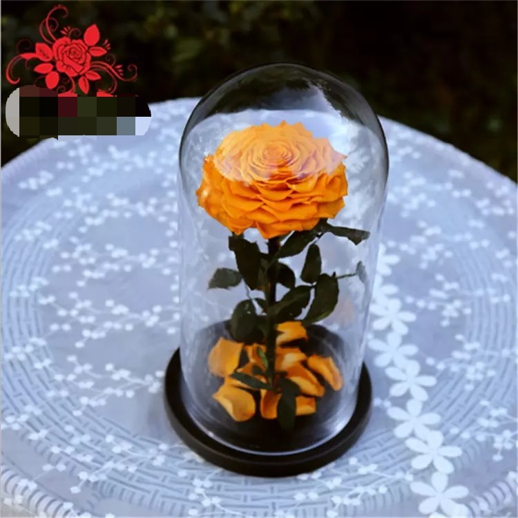 Natural Fresh Roses Flowers Everlasting Preserved Eternal Rose beautiful Rose Preserved Flower