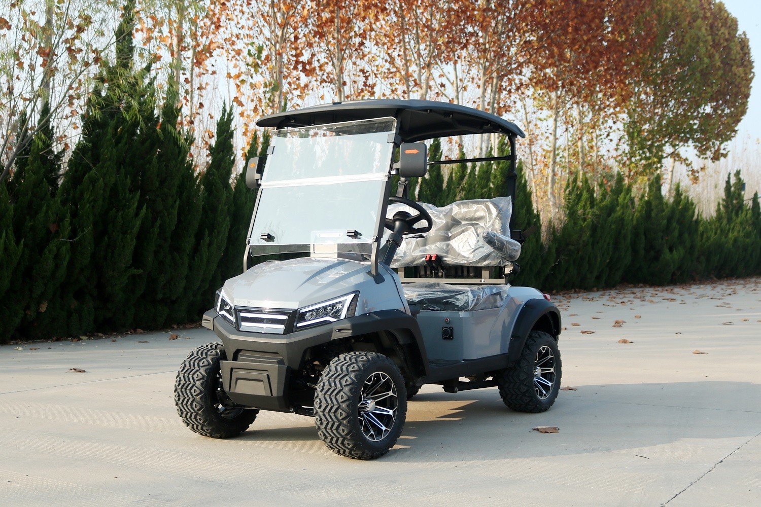 Comfortable Big Seat 2 Seat Electric Custom Golf Cart Mobility Four-Wheeled Scooter For Any Age