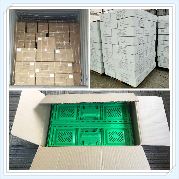 Foldable Mesh Crates For Vegetable Collapsible Plastic Shipping Crates 600x400x52mm