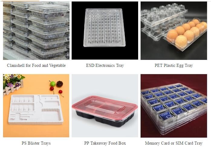 PP / PE / PS Automatic Vacuum Forming Machine Make Plastic Packaging