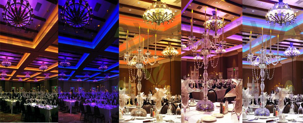 Decorative Flexible LED Strip Lights 12V DC 5050 RGB Per Meter 3 Years Warranty
