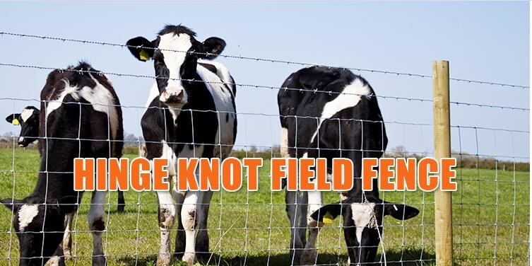 100g/M2 Zinc Coated Hinge Joint Fence , 1m High Galvanized Cattle Fence