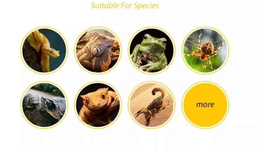 3D Simulated Stone Reptile Rock Hide Frogs And Spider Reptile Rock Hide Cave