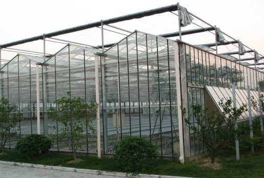 Water Proof Agricultural Glass Greenhouse , Diy Tomato Greenhouse Good Light Transmittance