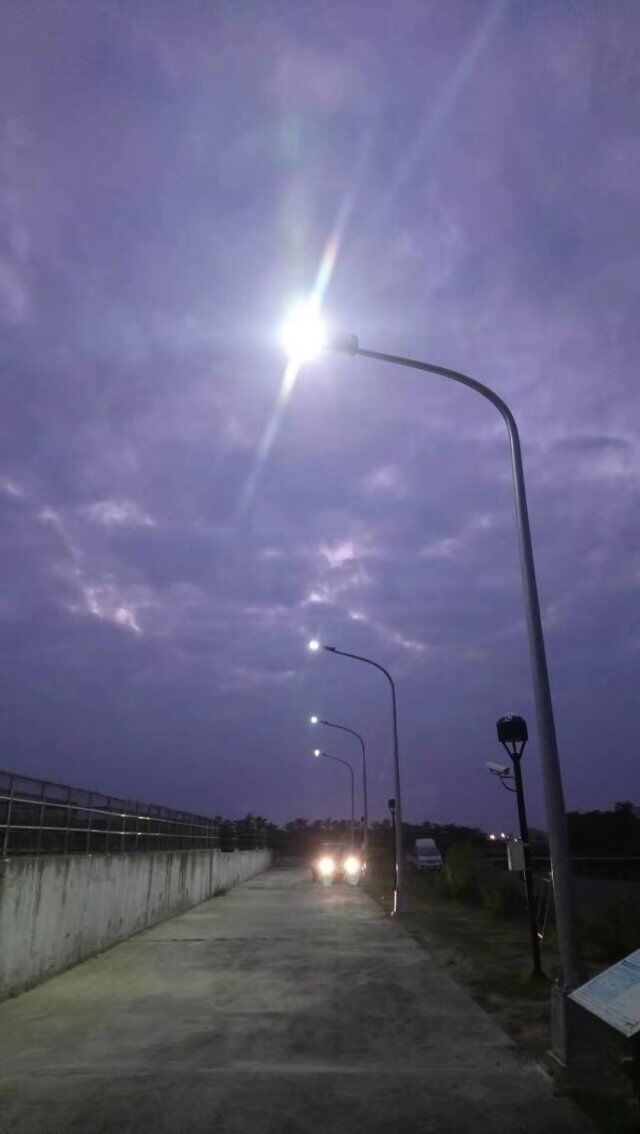 solar driveway lights