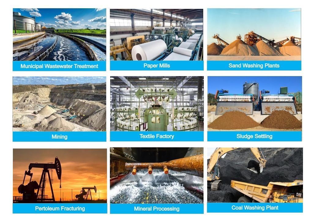 Middle Charge Cationic Powder PAM Sludge Dewatering Flocculant Water Treatment