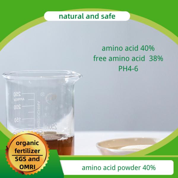 Vegetable Animal Sulfuric Amino Acid Powder Fertilizer 40% Chlorine Free For