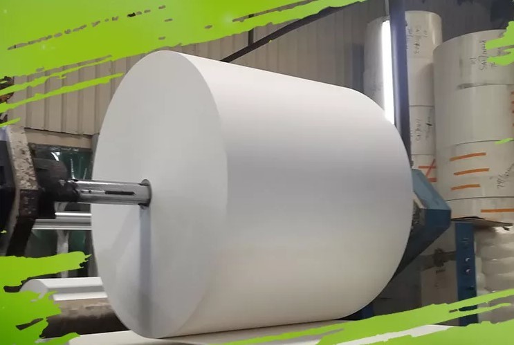 Single Double Side 10-18gsm PE Coated Paper Sheet Greaseproof