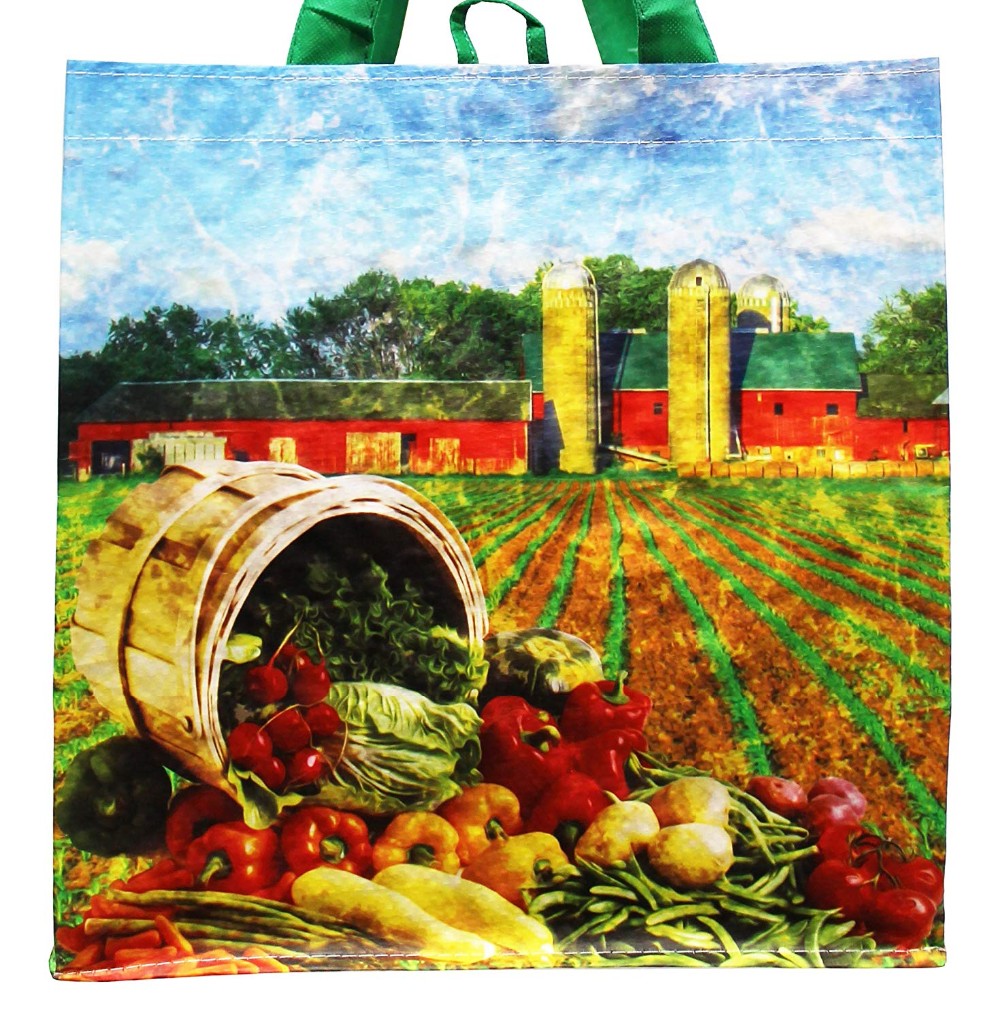 Picture Printed Recycled Shopping Bag , Pp Woven Tote Bag Customized Size