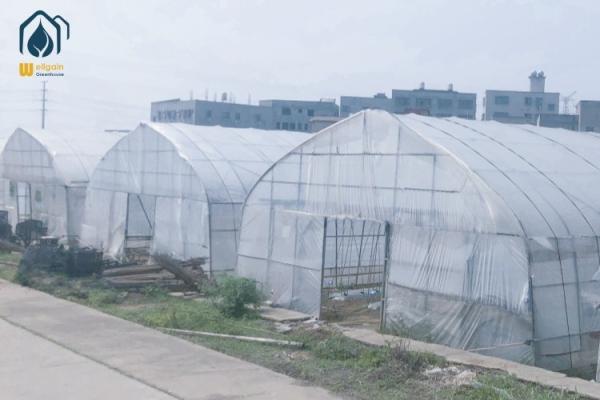 Hot Dip Galvanized Pipe High Tunnel Greenhouse Customizable Agriculture