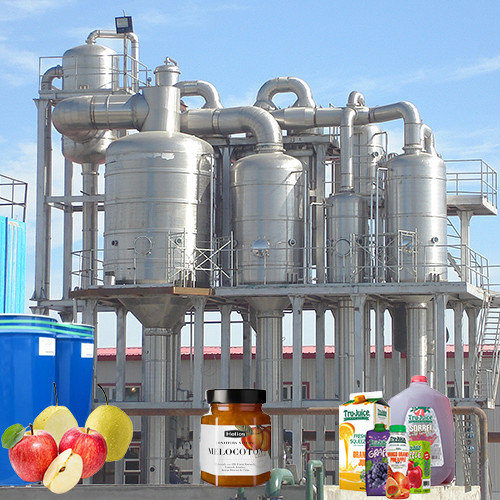 Water Saving Energy Saving Fruit Concentrated Apple Juice Jam Production Line Turnkey Project