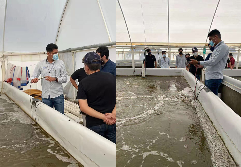 fluorescent DO sensors in aquaculture-Desun Uniwill