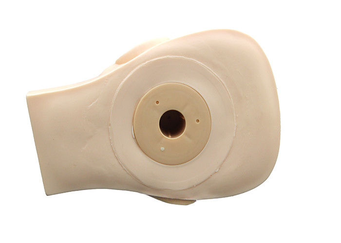 Rubber Practice Mannequin Head With Demountable Eyes / Mouth For Beginner