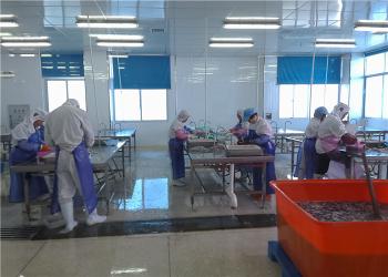 Xiamen Tongzhonghe Imp & Exp Co., Ltd.