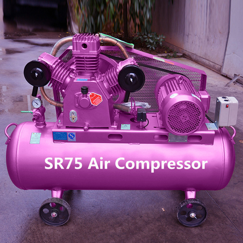 Reciprocating Compressors Small Electric Air Compressors Machine Piston Air Compressors