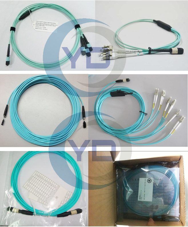 24 Fiber Optical MTP MPO Cable Assemblies OM3 10G Aqua 25 Meter Blue