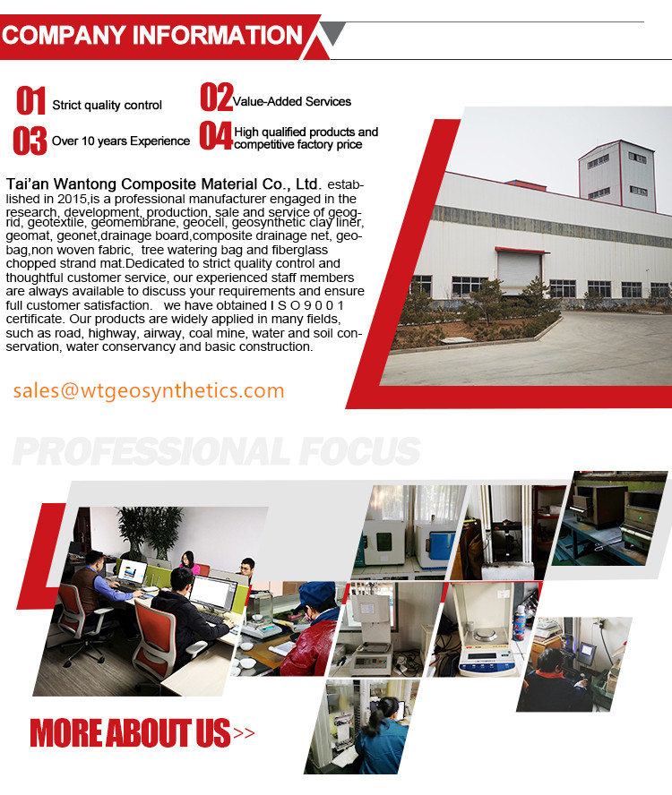 Plastic Parking Grass Grid Geocell with After-Sale Service and ASTM Standard
