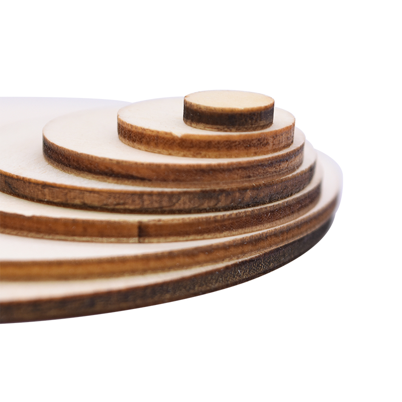 Blank Painting 10cm Unfinished Wood Crafts Pine Wood Discs