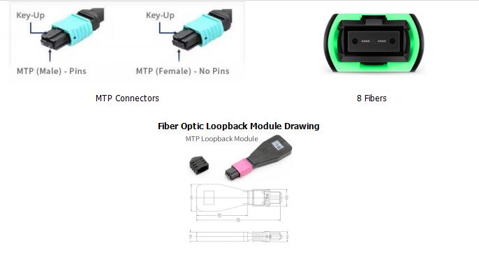 8 Fibers MTP OM4 Fiber Optic Loopback Module /Cable