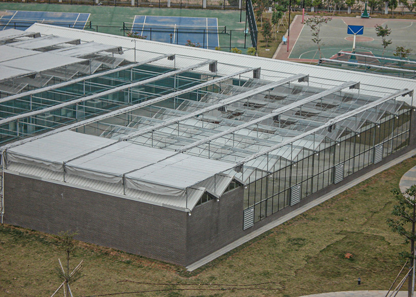 High Transmittance, Weld-Free VENLO Greenhouses For Premium Crop Seedlings & Growth