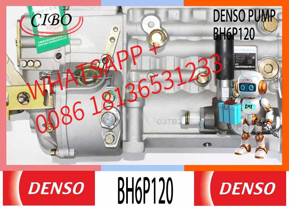 Engine Parts Shanghai C6121 3306 Diesel Engine Longbeng Fuel Injection Pump BH6PA110 BH6P110 BH6P120