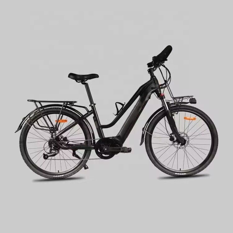 26 Inch Road E Bike 48V 31Ah Lithium Battery 250W Electric Bicycle For Ladies