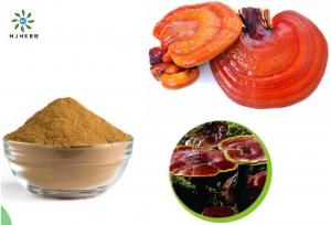 Buy cheap 30% Polysaccharide Halal Extract Reishi Mushroom Extract Powder product