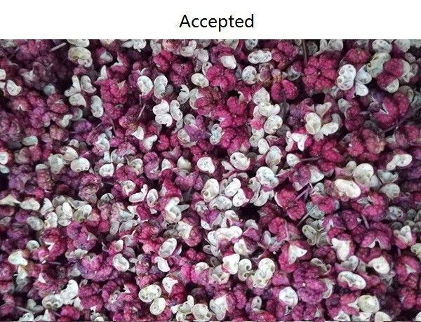 Digital Intelligent CCD image Spice Color Sorter