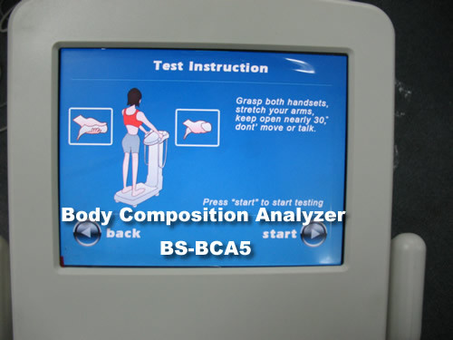 Body Fat Percentage Measurement Device