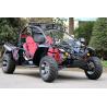 Buy cheap China Go kart1100CC06 from wholesalers