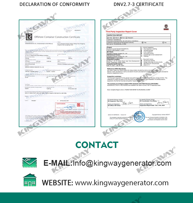 Supply 125kva 100kw 400v 50hz 3 phase 4 wire diesel engine ex-proof atex zone 2 genset