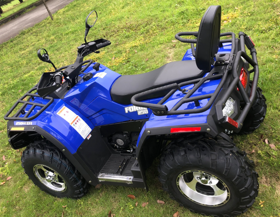 Quad Bikes 250cc ATV With Two-Drive Chain Drive And Maximum Speed ≥100Km/H