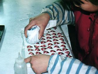 pins centre company ltd