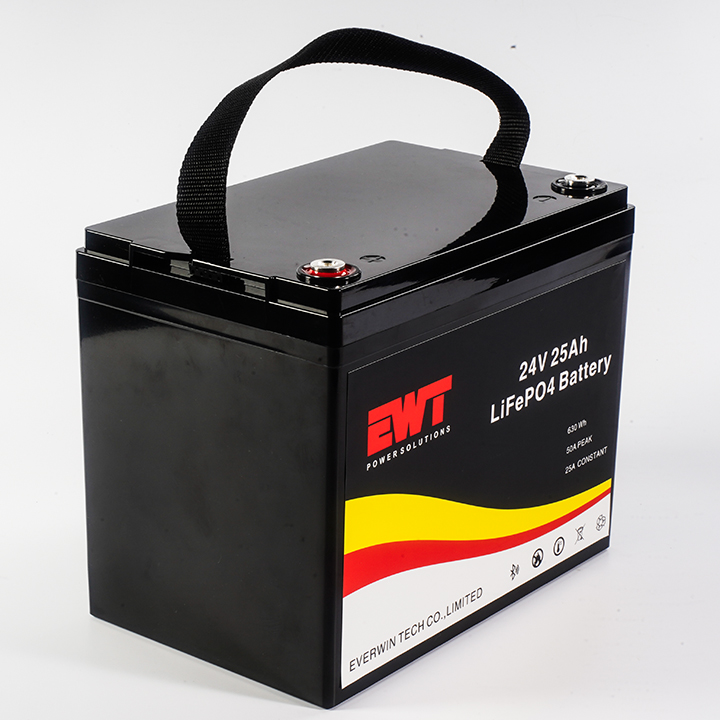 24V Lifeo4 Rechargeable Battery