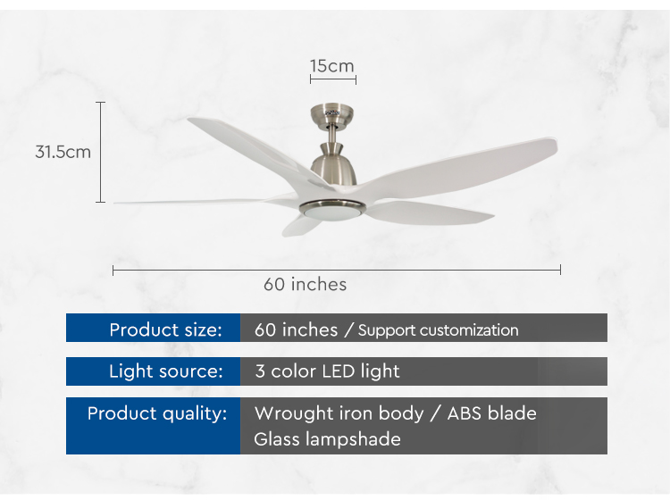 60" 5-Blade ABS LED Ceiling Fan with Light REACH Certified Low Energy Consumption
