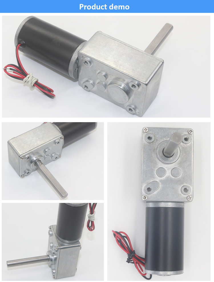 51mm Shaft DC Worm Gear Motor 200RPM 12 Volt Bldc With Dual Ball Bearing