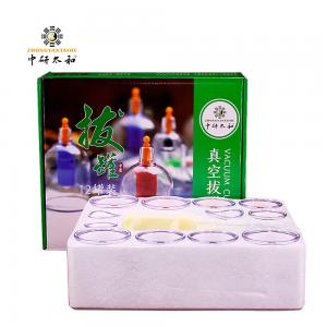 China Massage Therapy Vacuum Cupping Set Biomagnetic Acupuncture Suction on sale