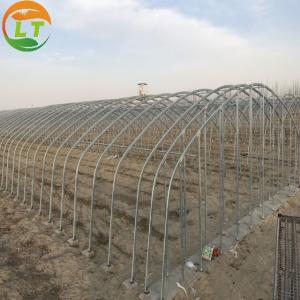China Film Cover Material Hot-dipped Galvanized Frame Agricultural Greenhouse in 6m/8m/10m/12m on sale