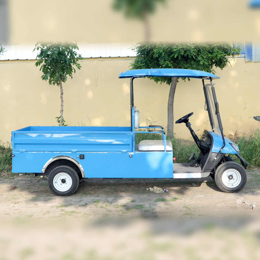 New Design Large Capacity Blue Golf Cargo Drum Brake Hydraulic Brake 4kw Battery Power