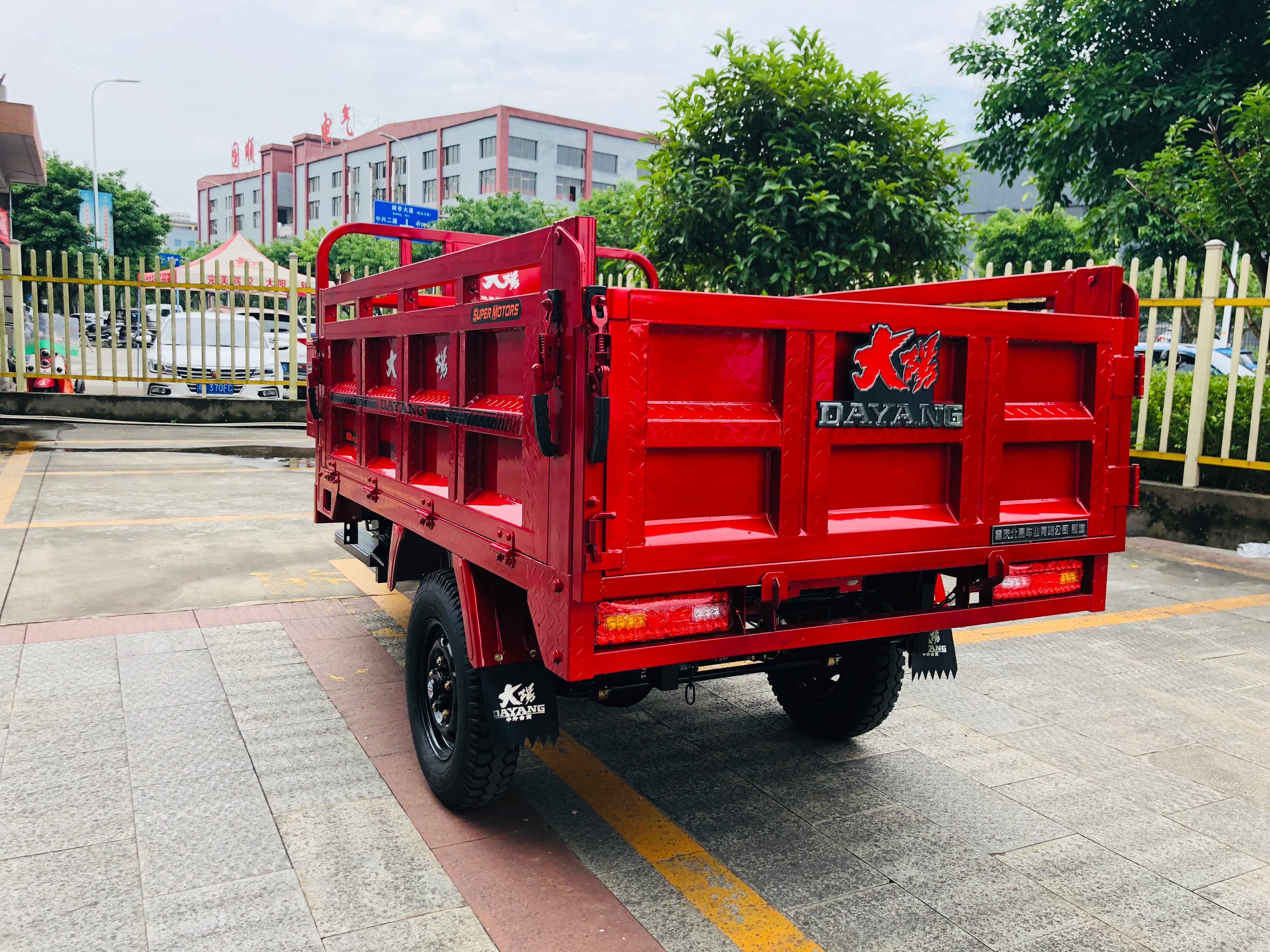 DAYANG Cargo Tricycle with Rear Axle Floating Booster King Three Wheels Motorcycle