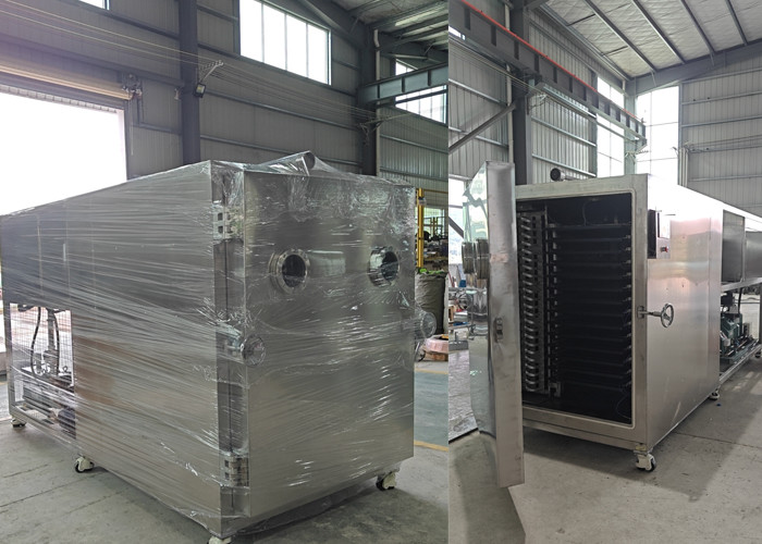 100Kg Capacit Vegetable Freeze Dryer For Various Vegetable Types