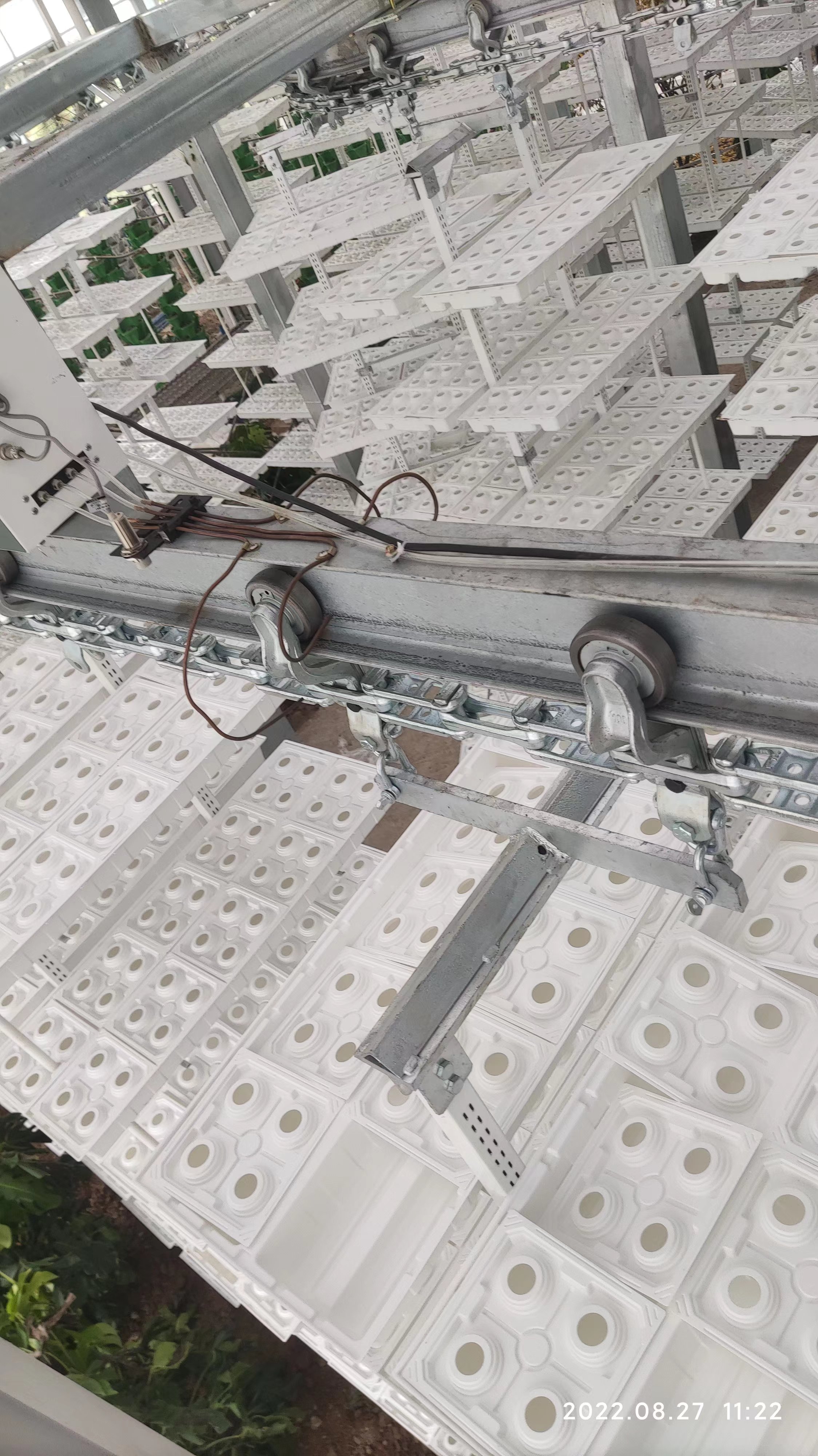 Vertical Farming Hanging Plant Hydroponic Intelligence Farming