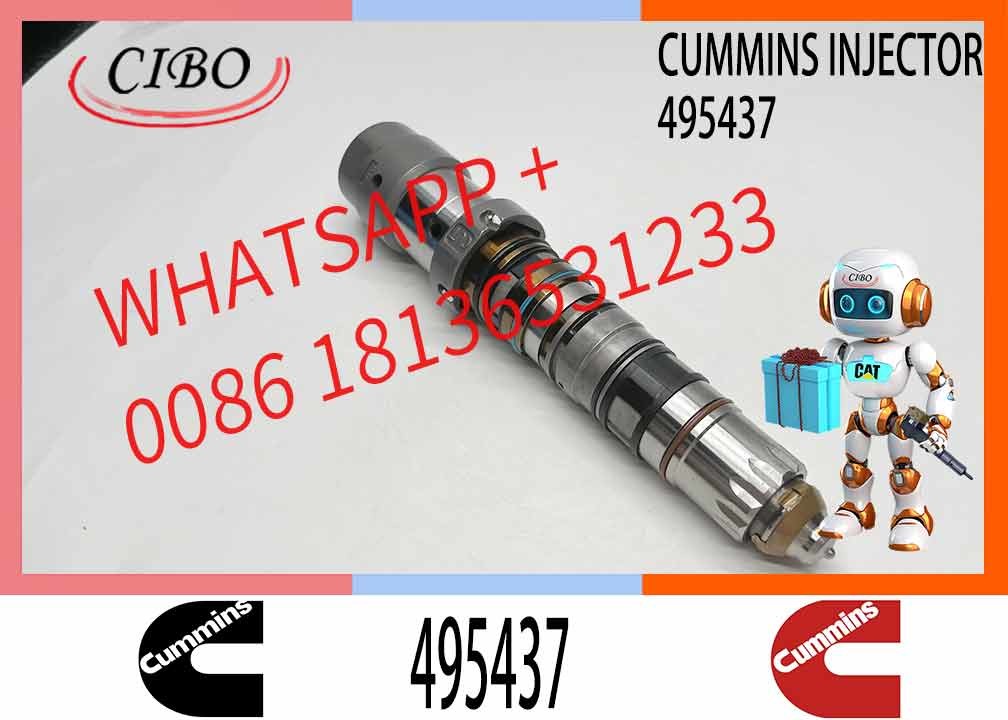 Diesel Engine Part Excavator Fuel Injector 432678 495437 4077076 4902817
