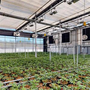 China Medicine Planting US Marketing Automatic Light Deprivation Greenhouse With Blackout System on sale