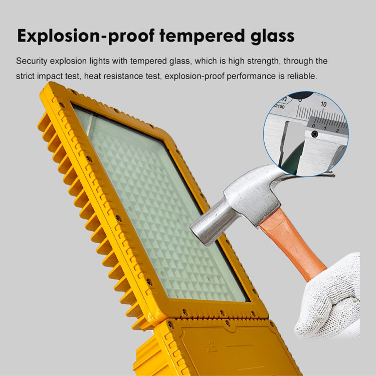Industrial Explosion Proof Lighting Fixtures Fittings Flameproof 220V 50Hz