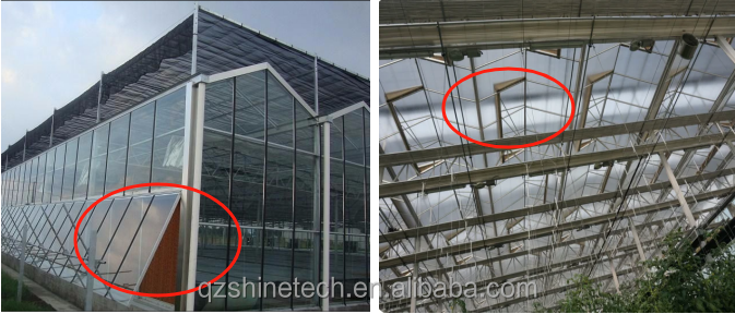 Large Agricultural Greenhouse with Galvanized Steel Frame and Optional Cooling System