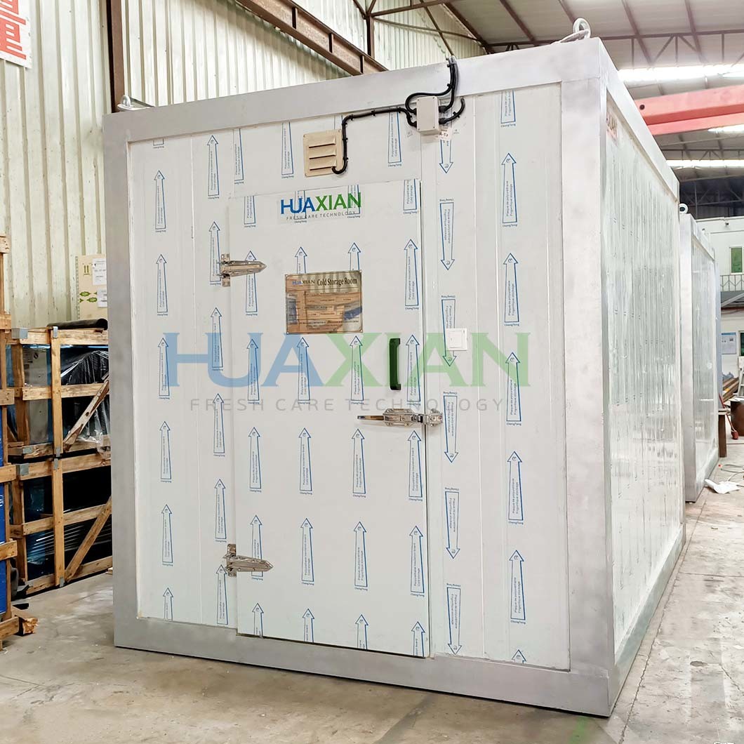 Industrial Logistics Fish/Seafood/Meat/Chicken Freezer Cold Room Construction for Frozen Food